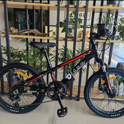 Kid's Bike 20" OLTRE Fuga-2 21 Speed SHIMANO Mechanical Disc Brake