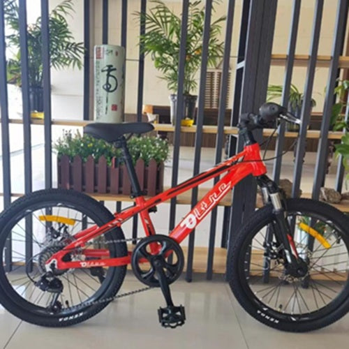 Kid's Bike 20" OLTRE Fuga-2 21 Speed SHIMANO Mechanical Disc Brake